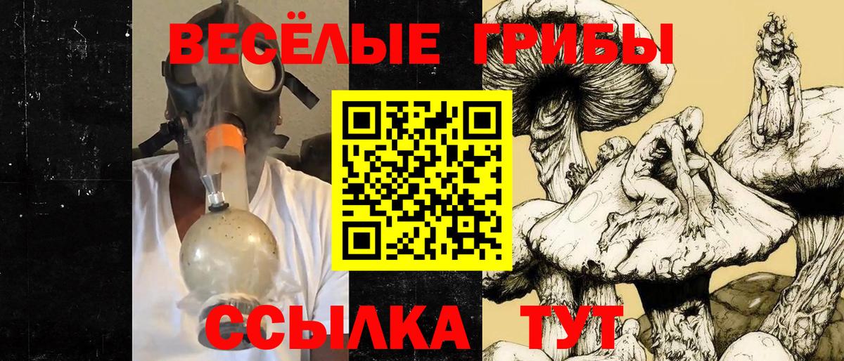 где купить наркоту  Вход с VPN  Фролово  Галлюциногенные грибы прущие грибы 